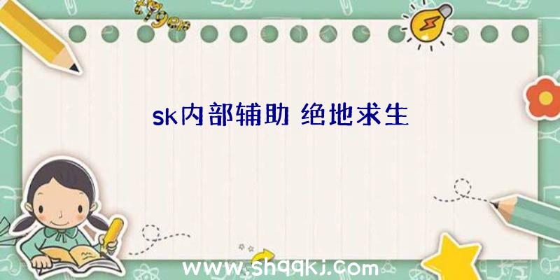 sk内部辅助